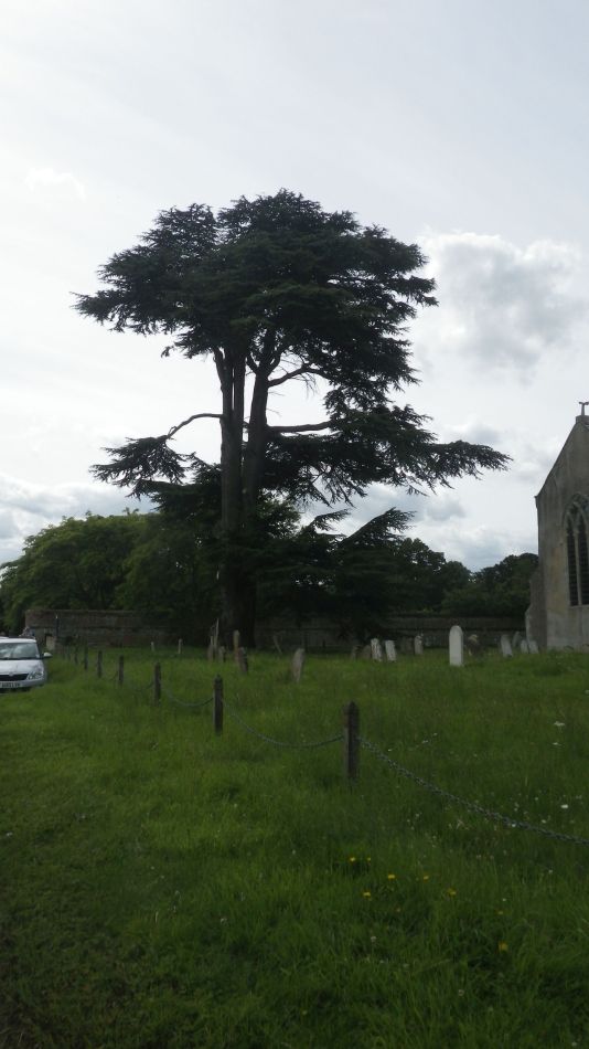 2019-07-21 08 Loddon to Beccles 10.jpg