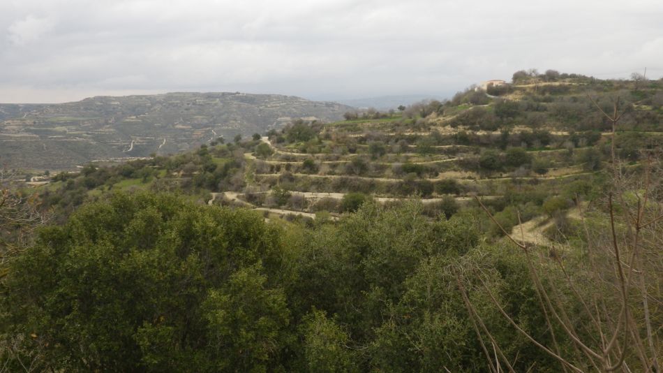 2019-01-29 05 Walk 11 Rare View North.JPG