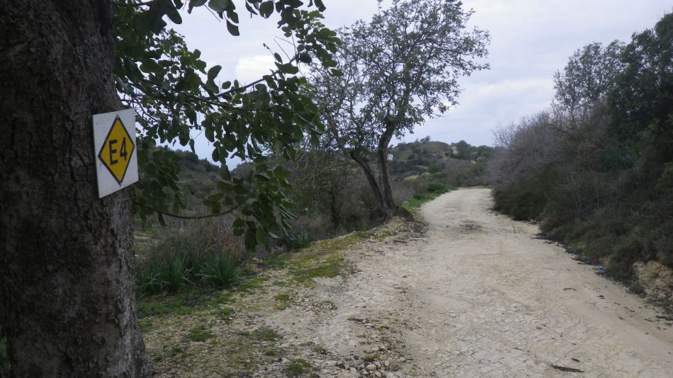 2019-01-29 06 Walk 11 E4 Path Again.JPG