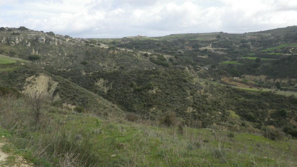 2019-02-01 09 Walk 19 Coll.JPG