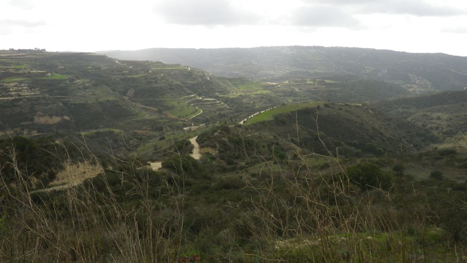 2019-02-01 11 Walk 19 View.JPG