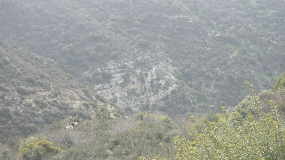 2019-02-01 16 Walk 19 Route Down.JPG