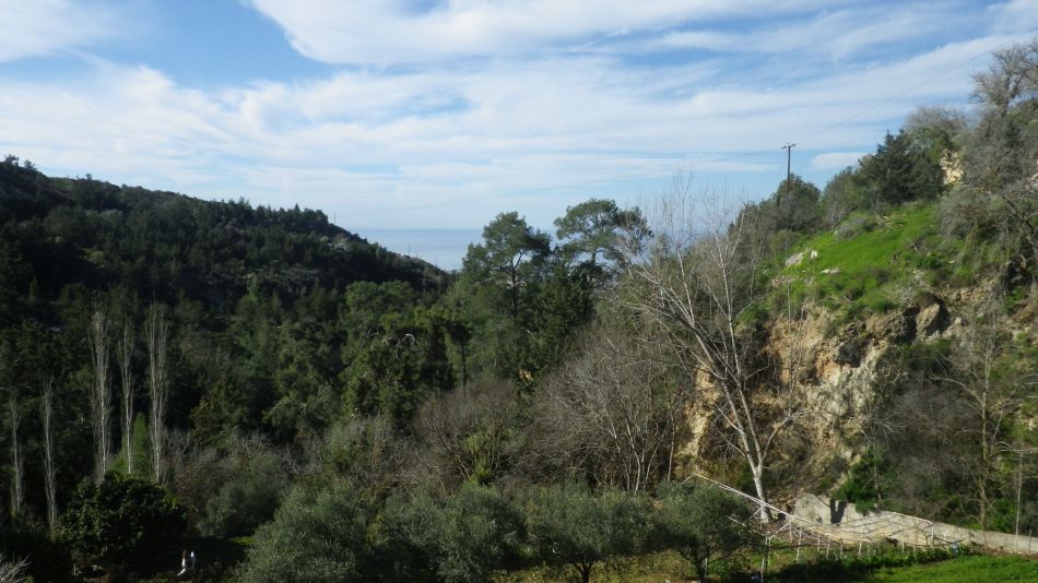 2019-02-04 04 Walk 13 Neophytos Monastery.JPG