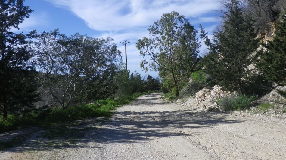 2019-02-04 09 Walk 13 Road Down.JPG