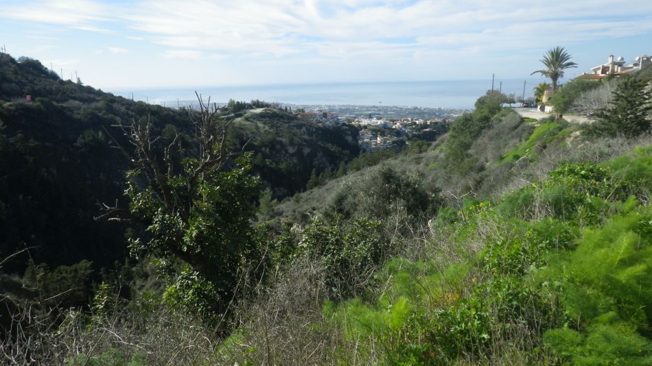 2019-02-04 10 Walk 13 View.JPG