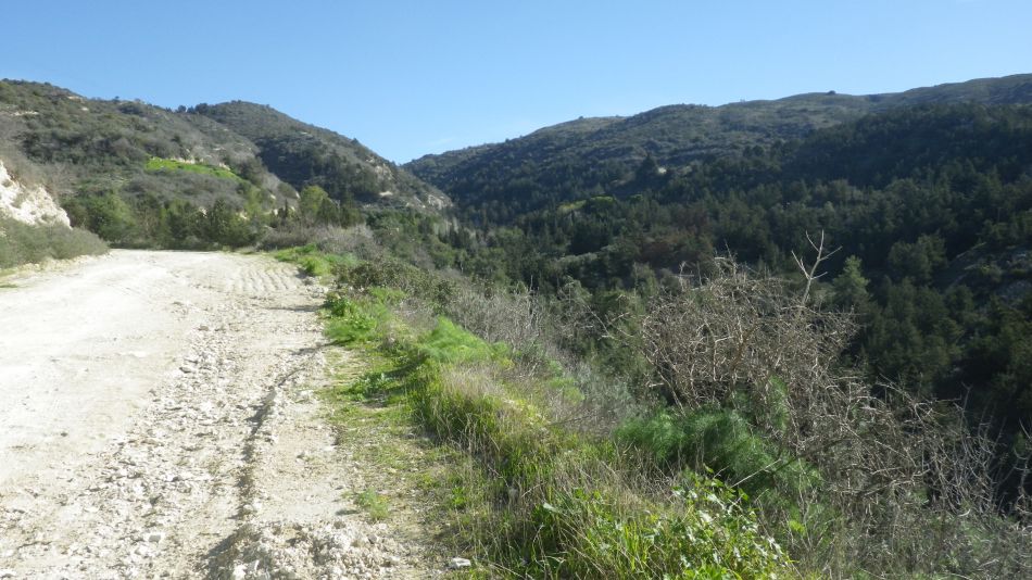 2019-02-04 11 Walk 13 View.JPG