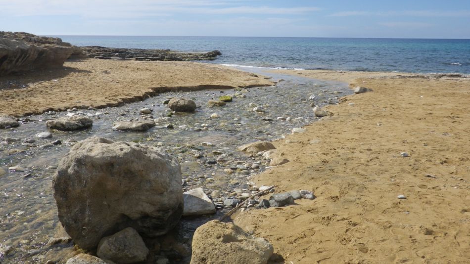 2019-02-04 29 Walk 13 Flowing Stream.JPG