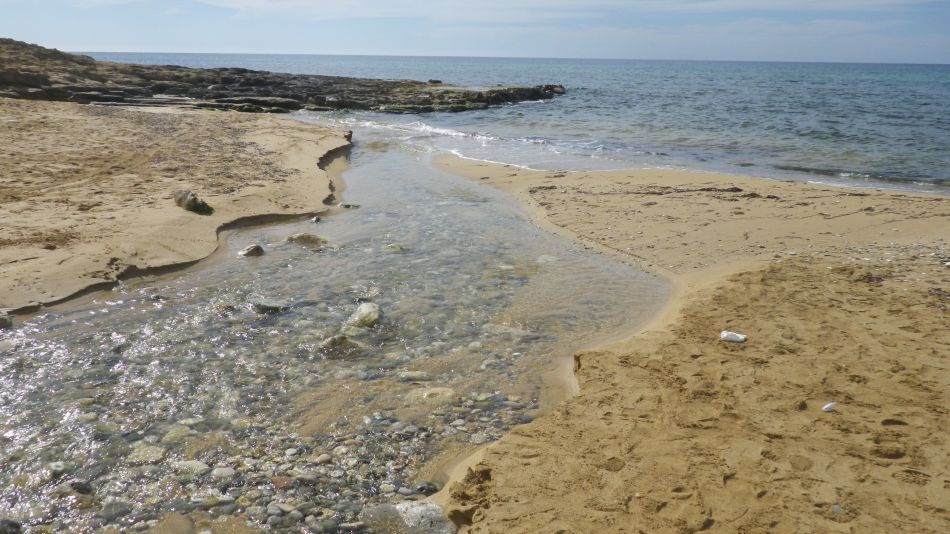 2019-02-04 30 Walk 13 Flowing Stream.JPG