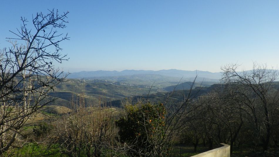 2019-02-11 01 Walk 15 Troodos.JPG