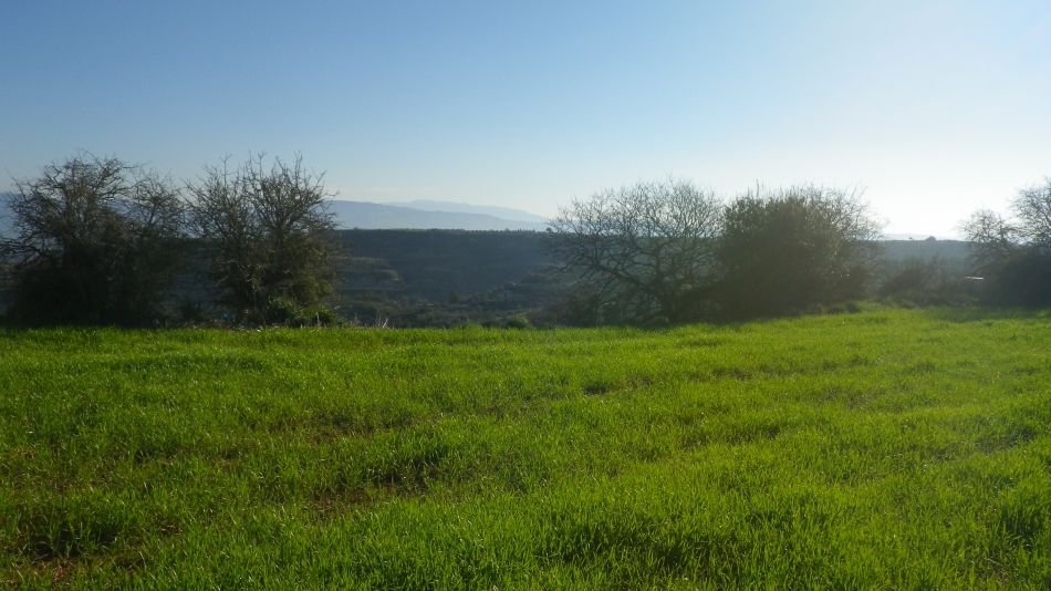 2019-02-11 04 Walk 15 Troodos.JPG