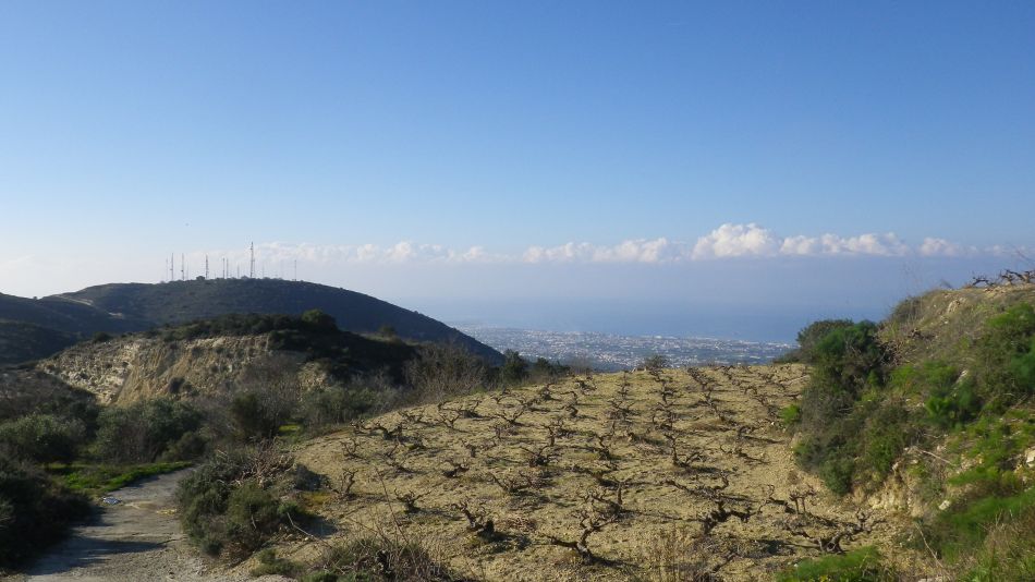 2019-02-11 06 Walk 15 View SW.JPG