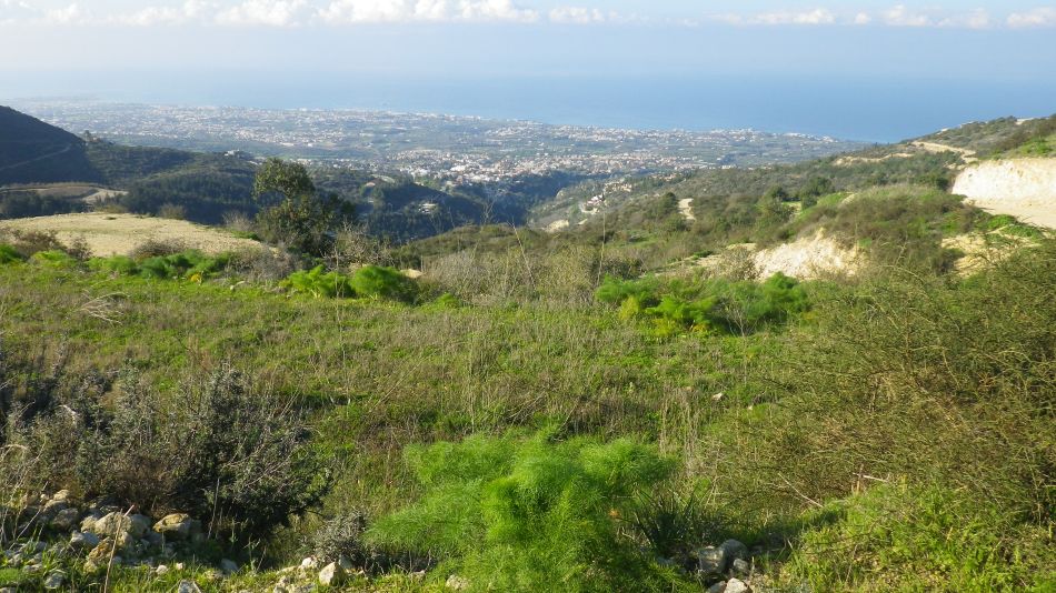 2019-02-11 07 Walk 15 View West.JPG