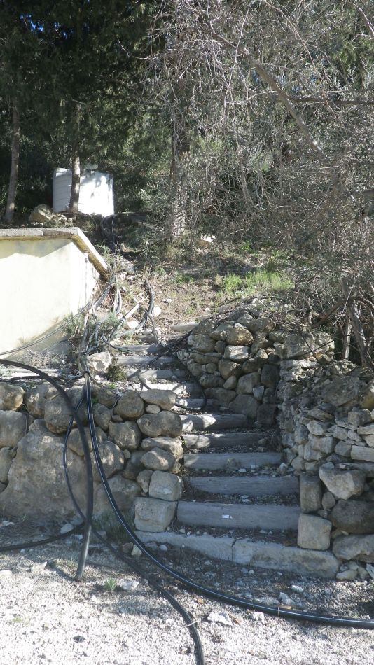 2019-02-11 10 Walk 15 The Start of the Path.JPG