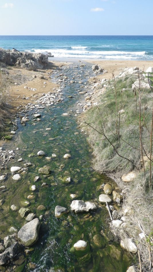 2019-02-11 19 Walk 15 The Coast.JPG