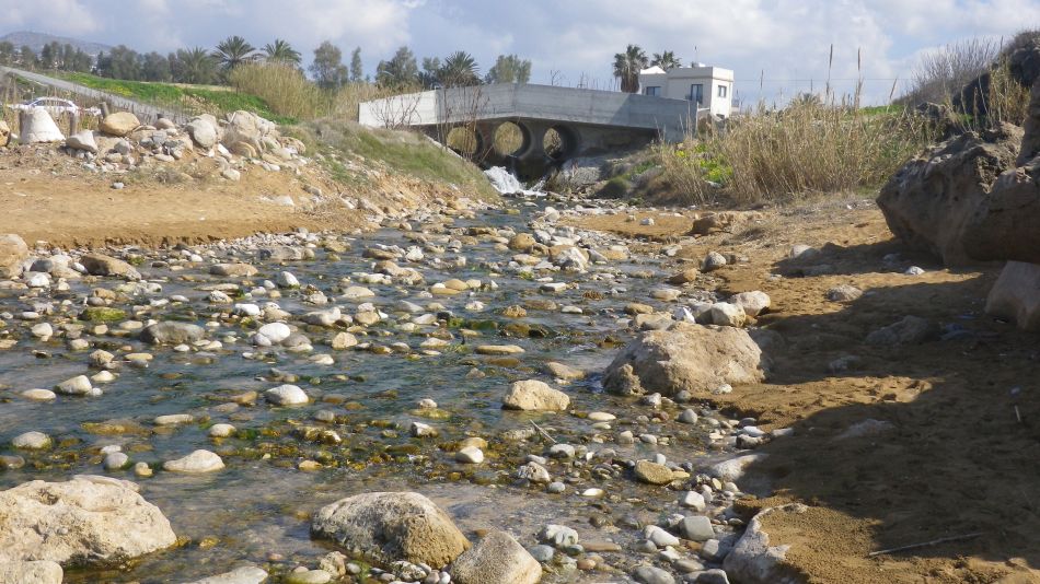 2019-02-11 20 Walk 15 The Coast.JPG