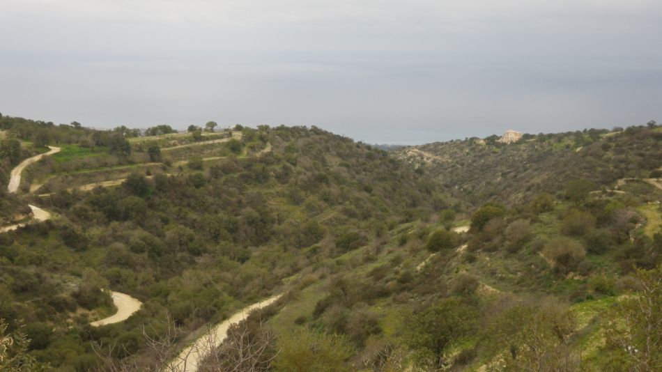 2019-02-12 01 Walk 5 Hazy View.JPG