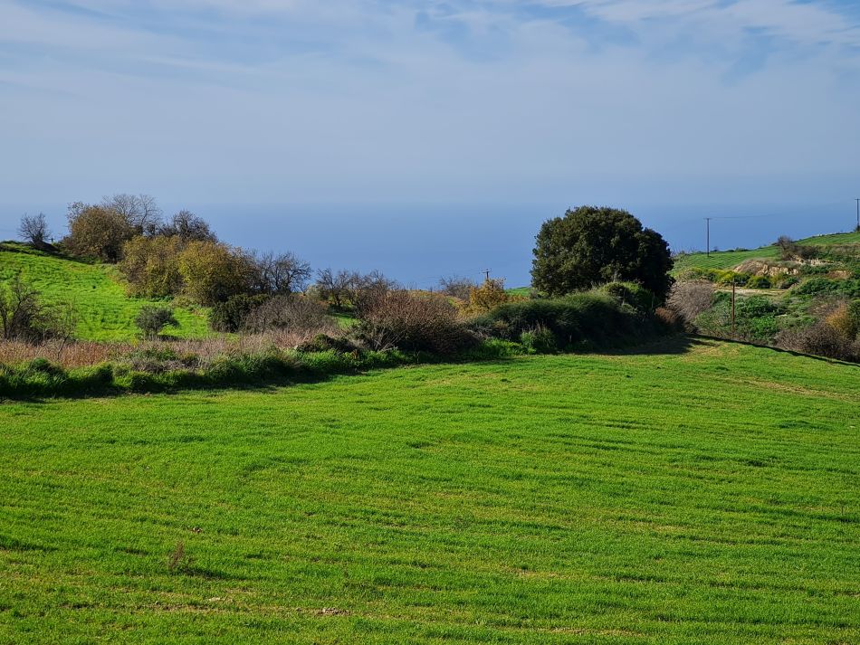 2023-01-28 01 Koili Lempa Coast.jpg