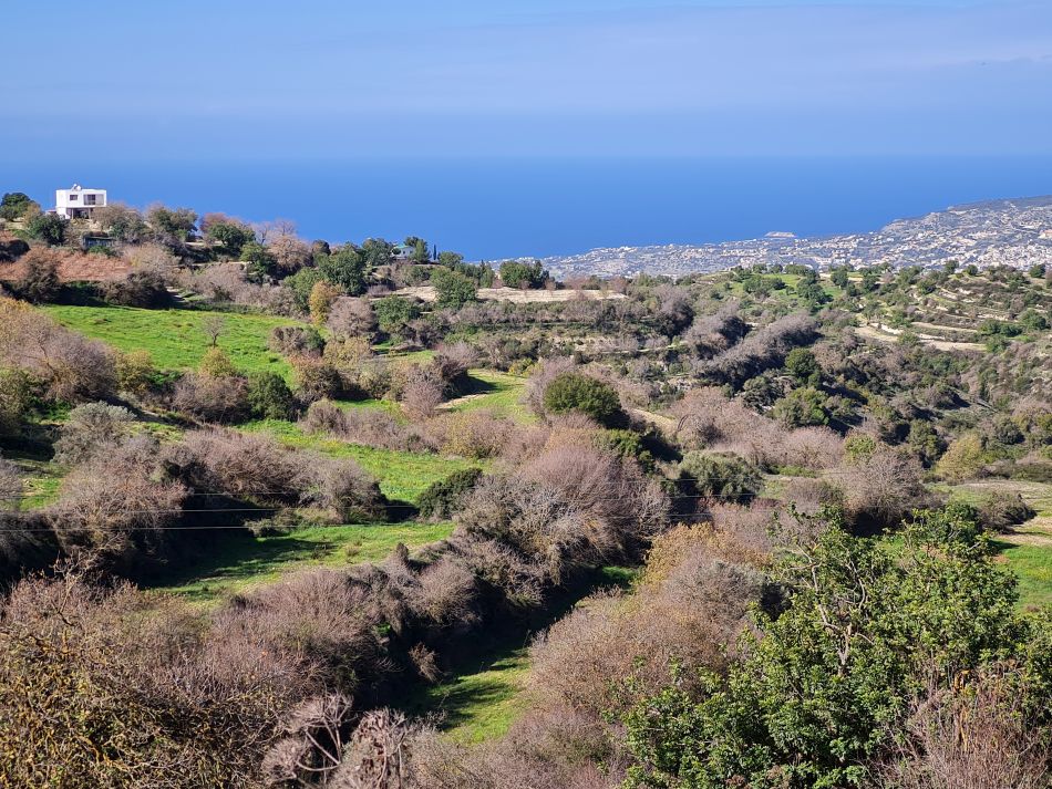 2023-01-28 02 Koili Lempa Coast.jpg