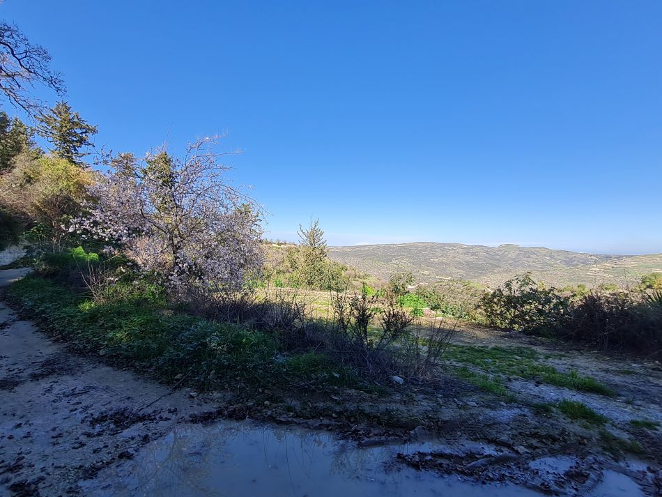 2023-01-28 05 Koili Lempa Coast.jpg