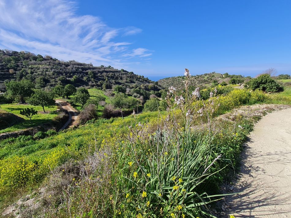 2023-01-28 06 Koili Lempa Coast.jpg