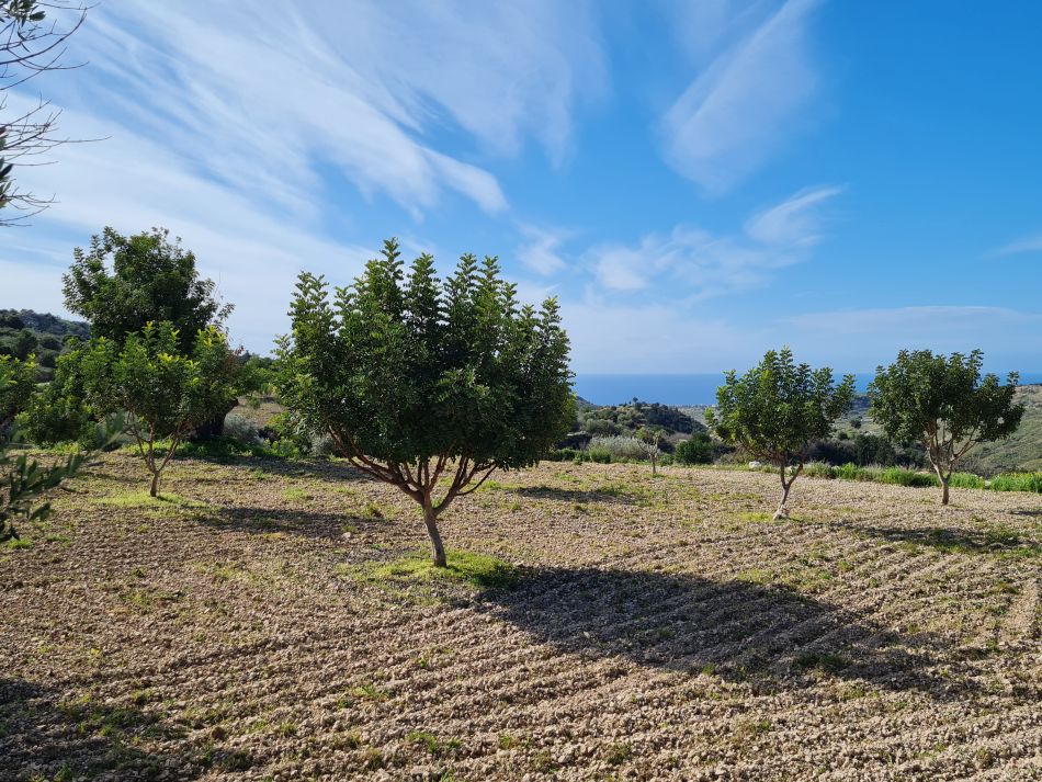 2023-01-28 24 Koili Lempa Coast.jpg