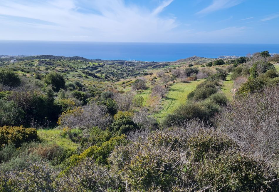 2023-01-28 27 Koili Lempa Coast.jpg