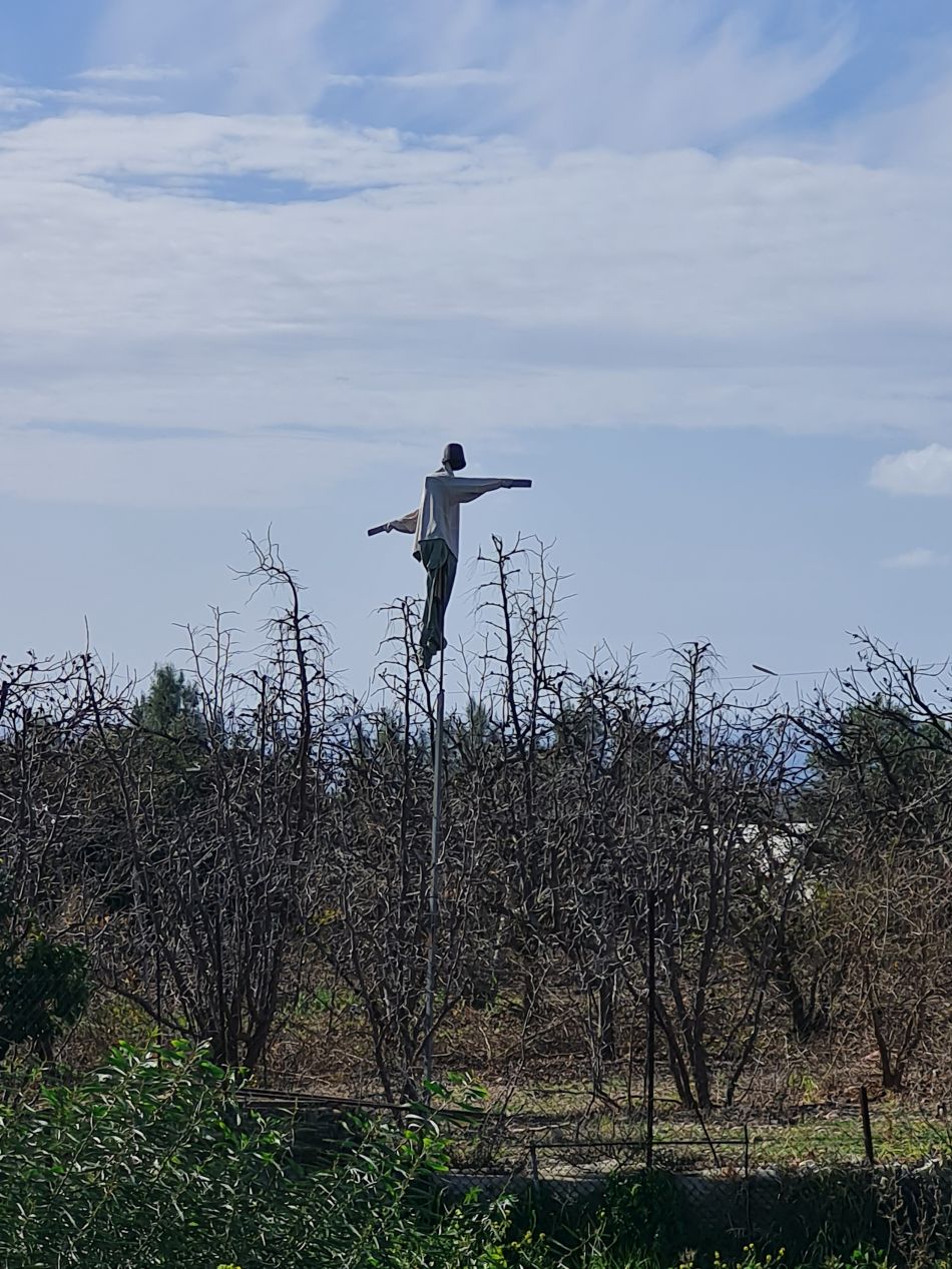 2023-01-28 30 Koili Lempa Coast.jpg
