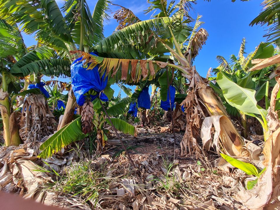 2023-01-28 49 Koili Lempa Coast.jpg