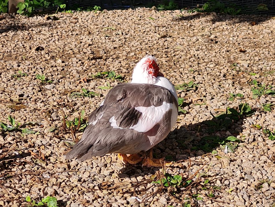 2021-09-27 05 Burford.jpg