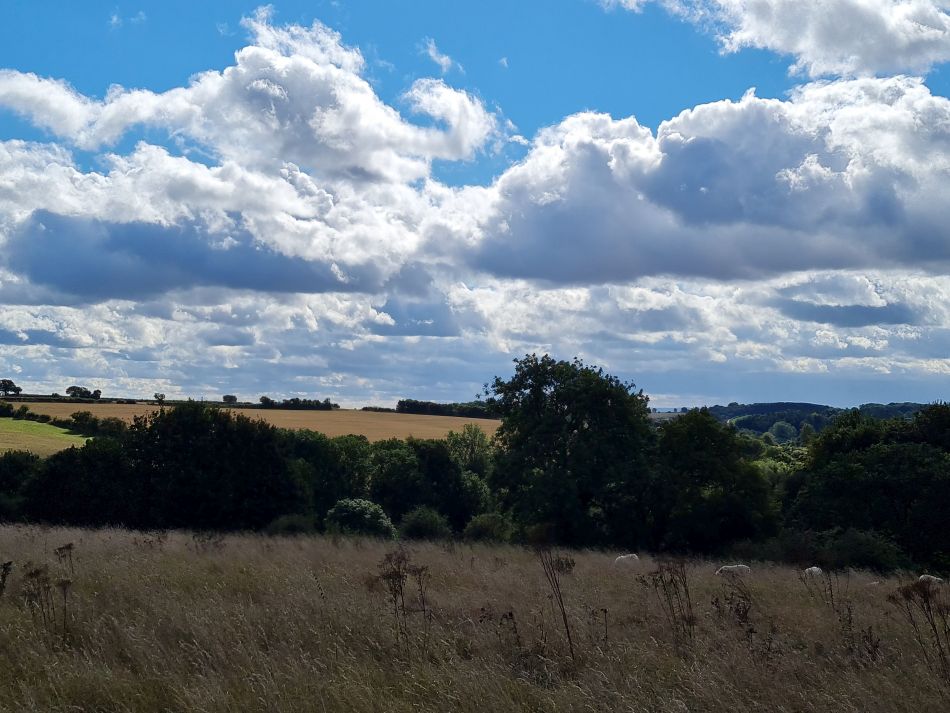 2021-09-27 16 Burford.jpg