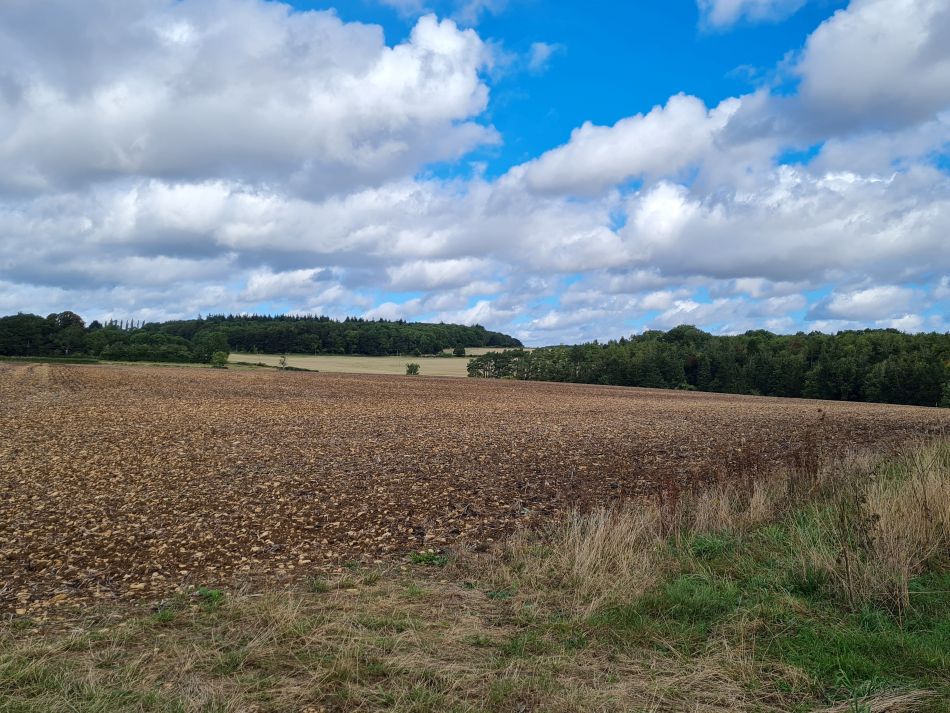 2021-09-27 17 Burford.jpg