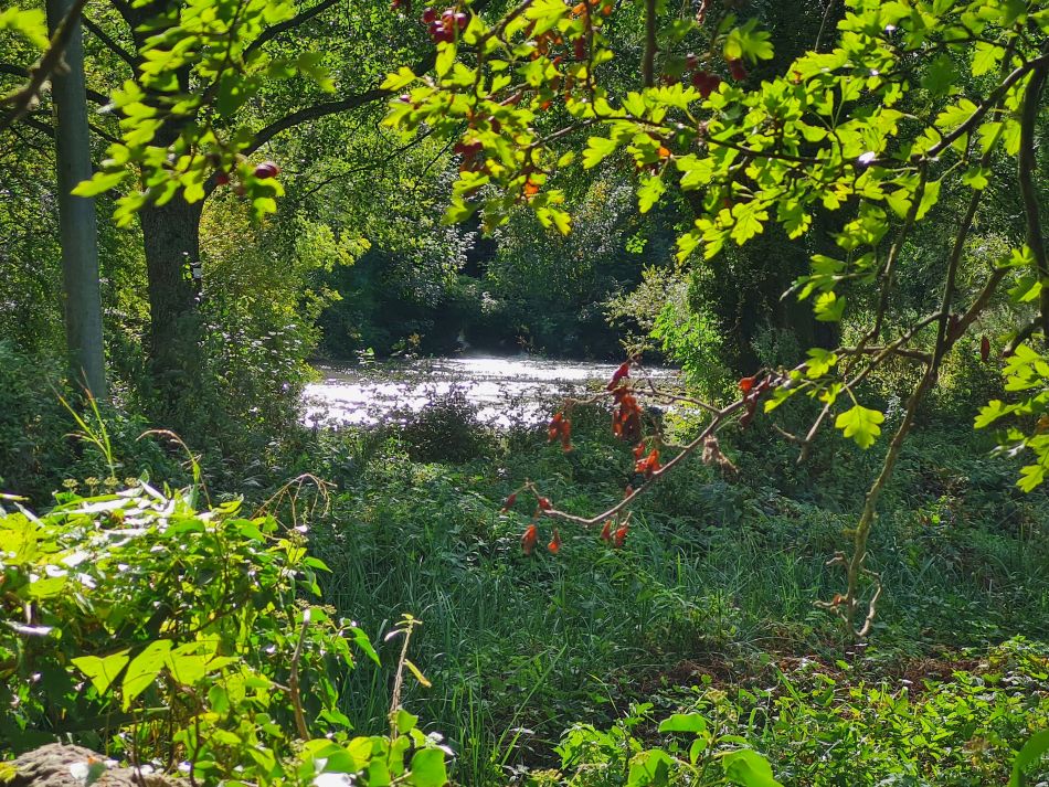 2021-09-27 28 Burford.jpg