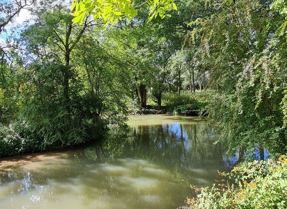 2021-09-27 29 Burford.jpg