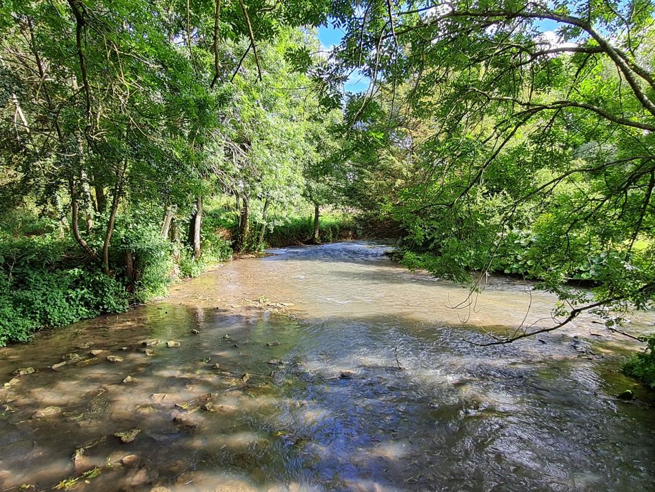 2021-09-27 30 Burford.jpg