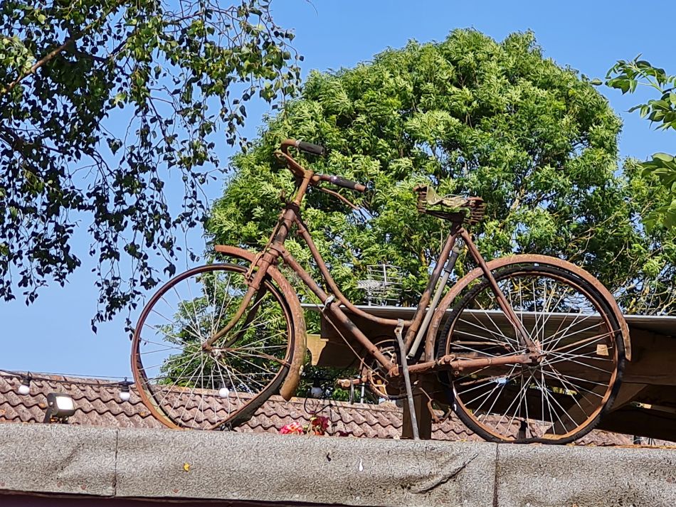 2023-06-14 05 Gillingham to Geldeston.jpg