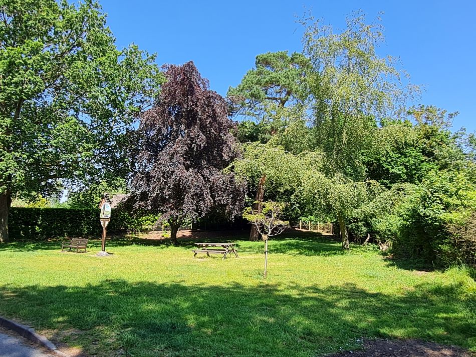 2023-06-14 17 Gillingham to Geldeston.jpg