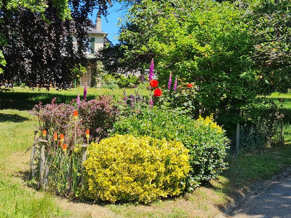 2023-06-14 20 Gillingham to Geldeston.jpg