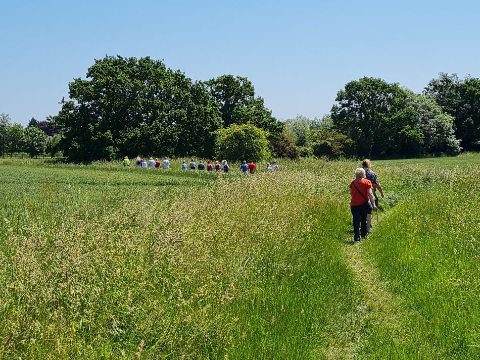 2023-06-14 21 Gillingham to Geldeston.jpg