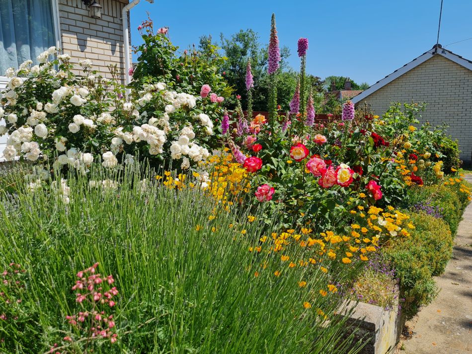2023-06-14 22 Gillingham to Geldeston.jpg