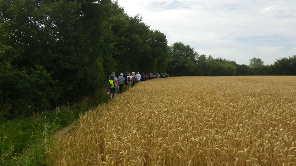 2017-07-18 05 Four Horseshoes Thornam Magna.jpg