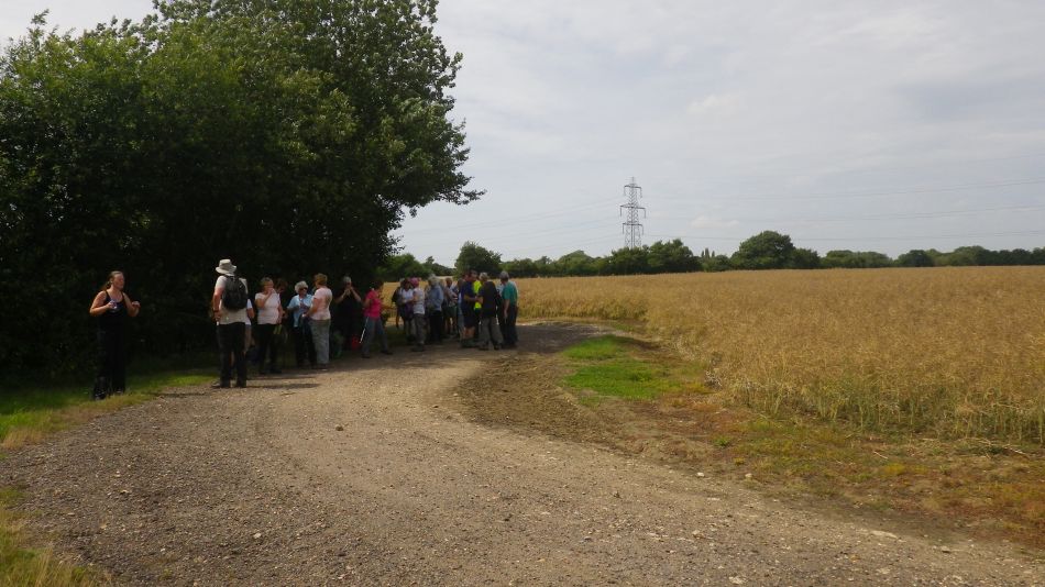 2017-07-18 07 Four Horseshoes Thornam Magna.jpg