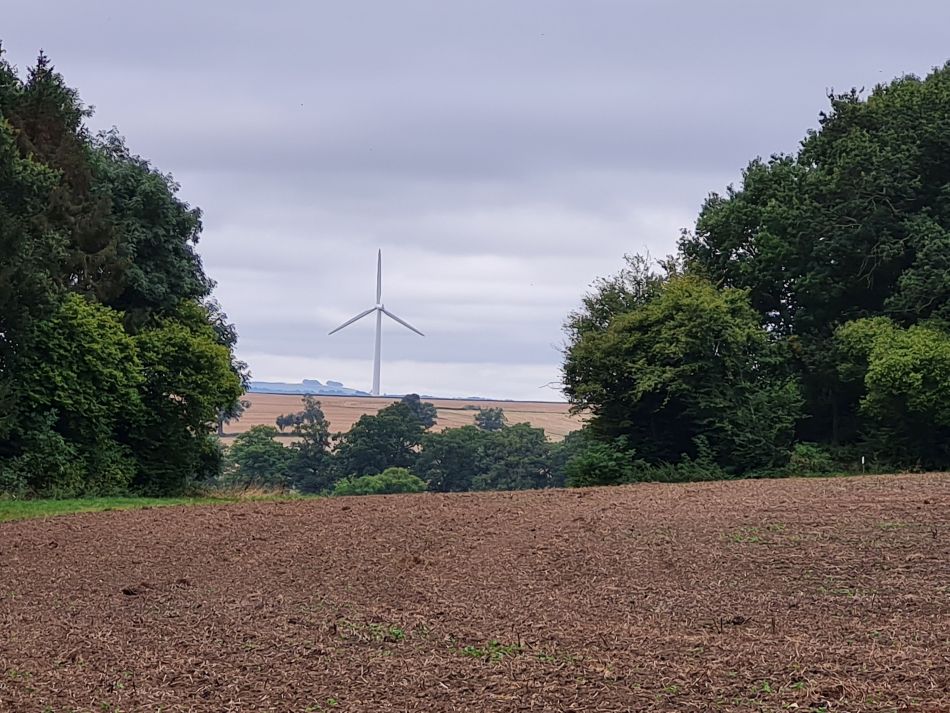 2021-09-25 07 Great Coxwell Coleshill and Badbury Hill.jpg