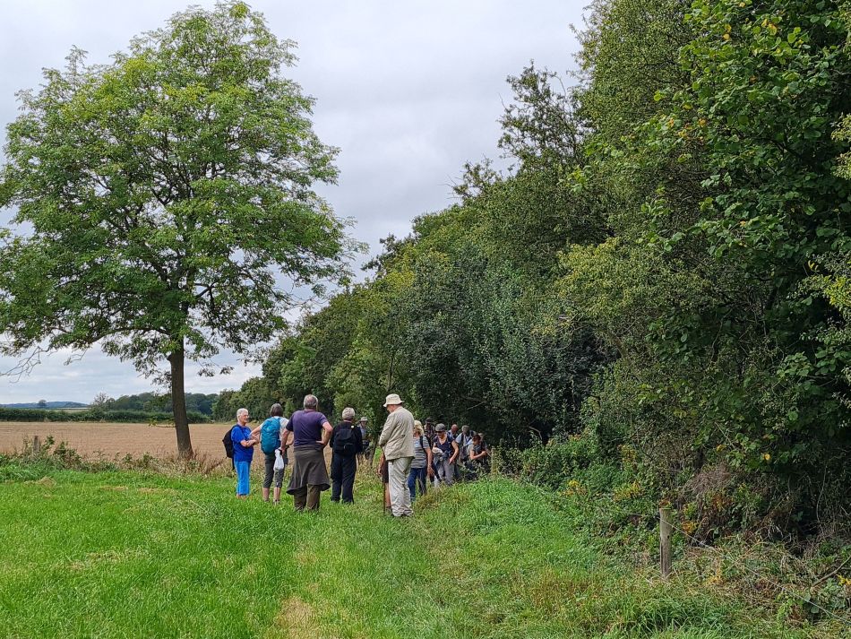 2021-09-25 18 Great Coxwell Coleshill and Badbury Hill.jpg