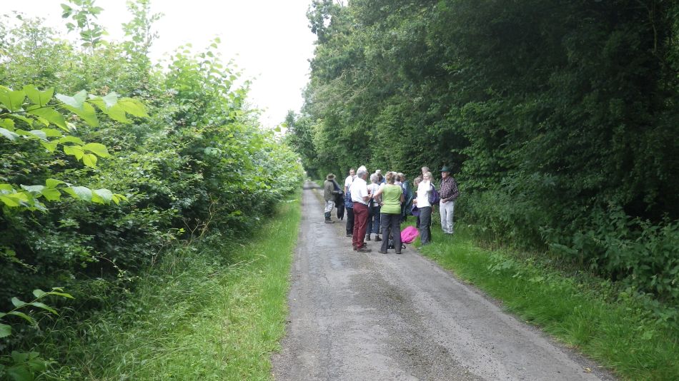 2016-07-13 07 Fressingfield Area.jpg