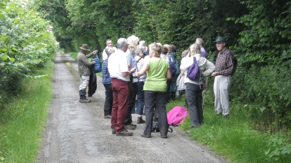 2016-07-13 08 Fressingfield Area.jpg