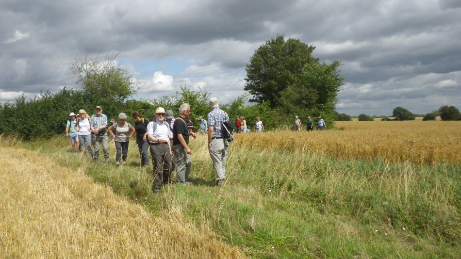 2019-08-07 06 Fressingfield Area.jpg