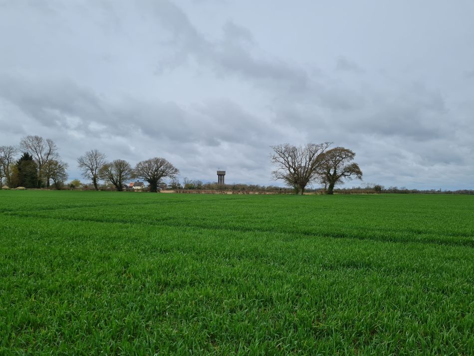 2022-04-06 02 Fressingfield.jpg
