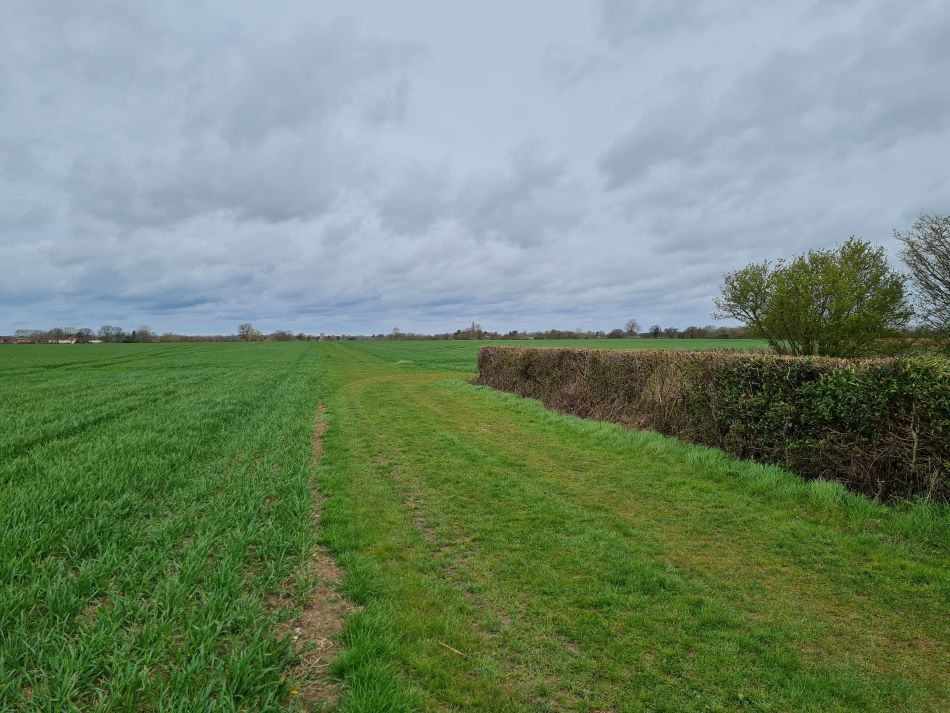 2022-04-06 03 Fressingfield.jpg