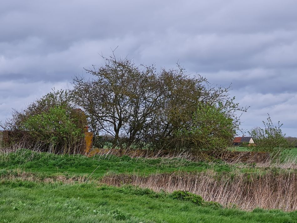 2022-04-06 06 Fressingfield.jpg