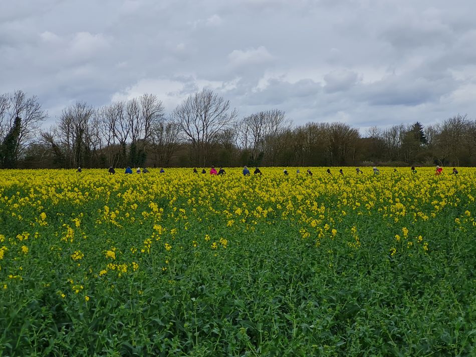 2022-04-06 14 Fressingfield.jpg